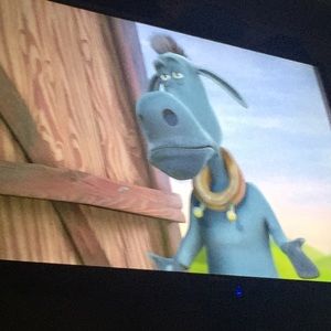 Meet your Posher, Ana